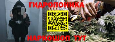 дмт Кинель